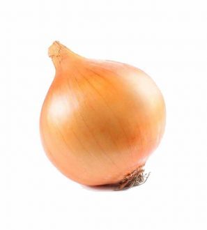Onion Yellow Løk Gul